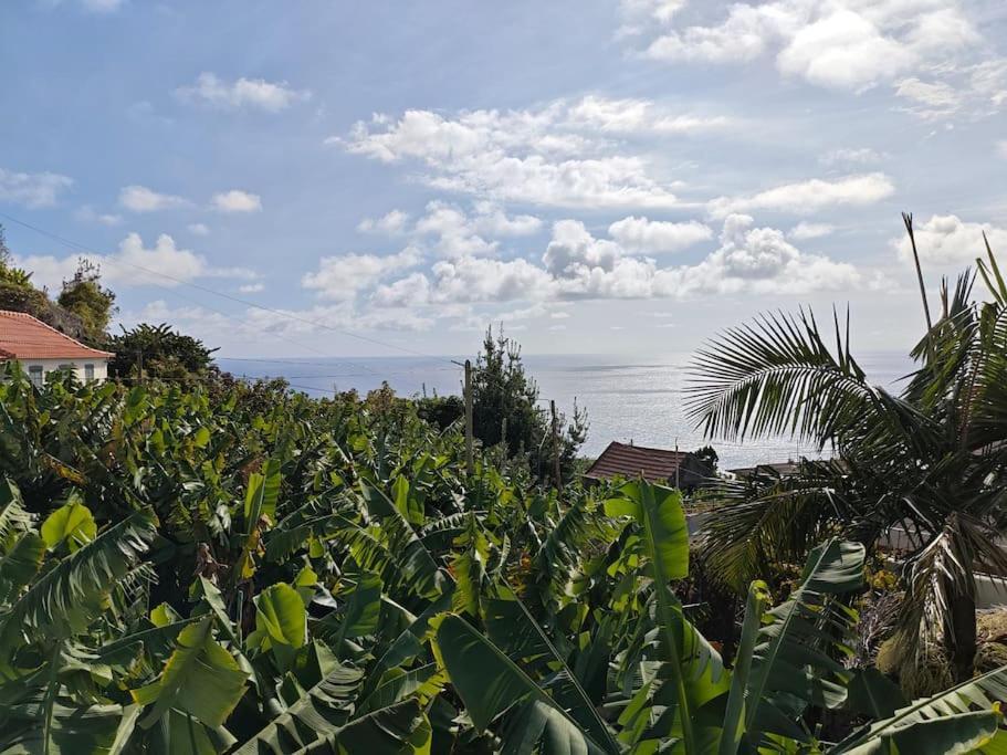 Vаrаndаs Dо Sоl-Vista Relaxante Entre Mar E Montanha Lägenhet Ponta do Sol  Exteriör bild